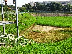 つくし野川下流調整池写真