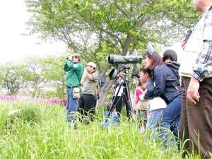 探鳥会の様子