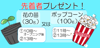 先着者プレゼント　花の苗30人、ポップコーン100人