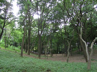 根戸船戸緑地の状況