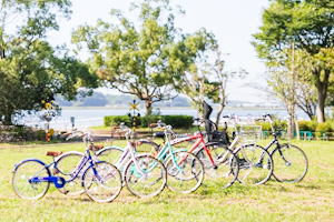 自転車の集合写真