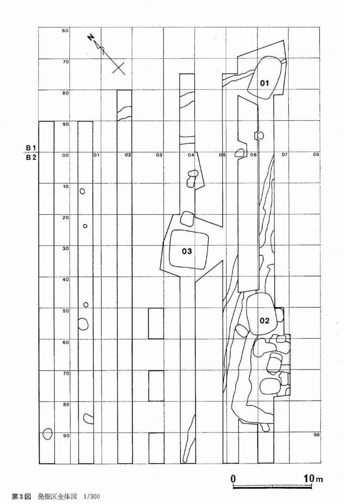 発掘区全体図